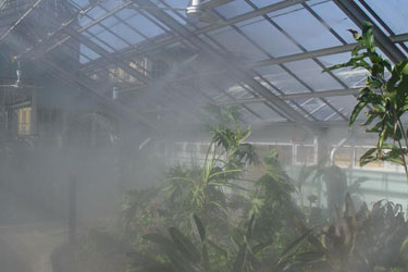 Humidification